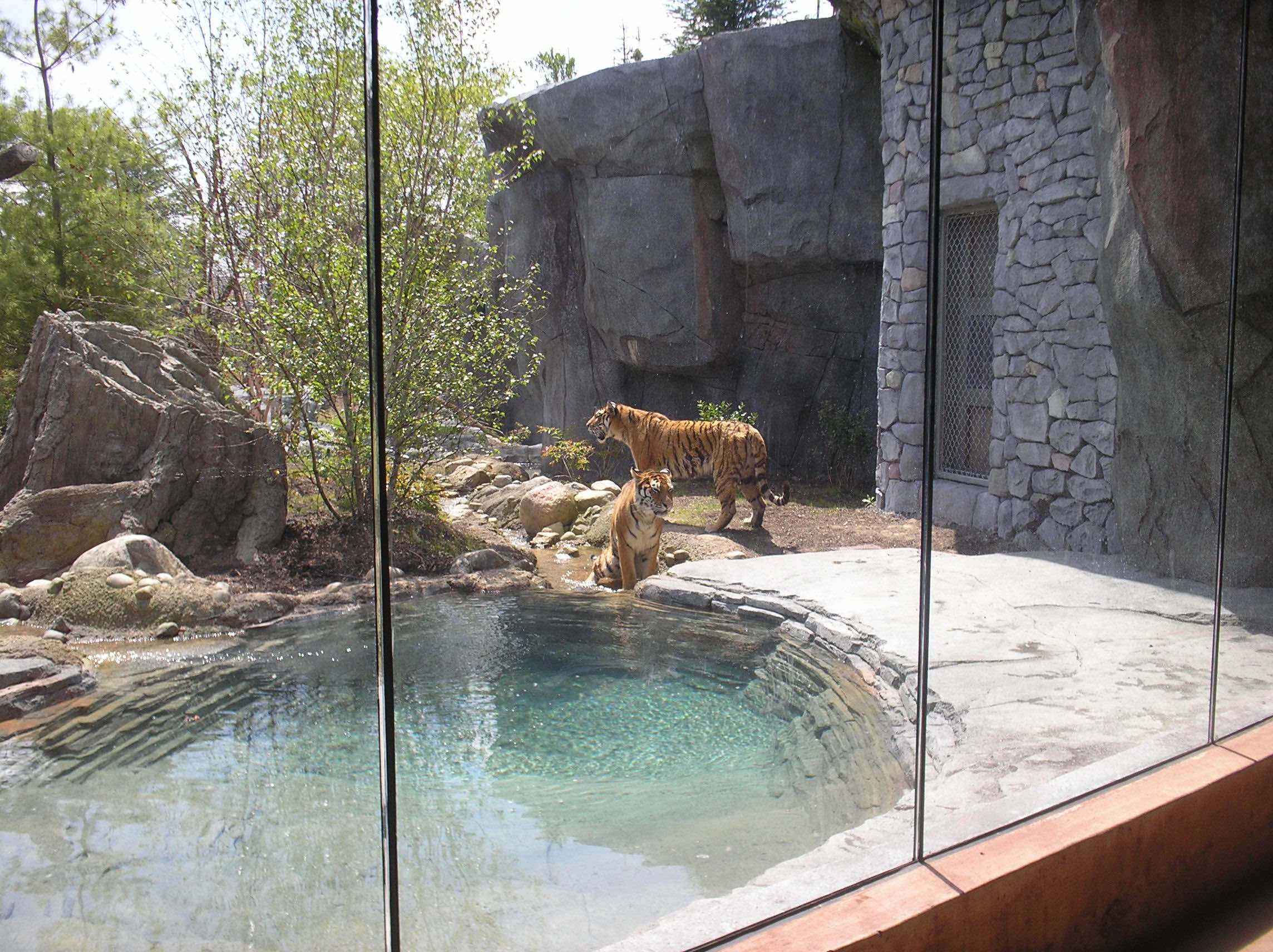 Asia Quest And Tiger Pass At The Columbus Zoo Marker Inc 