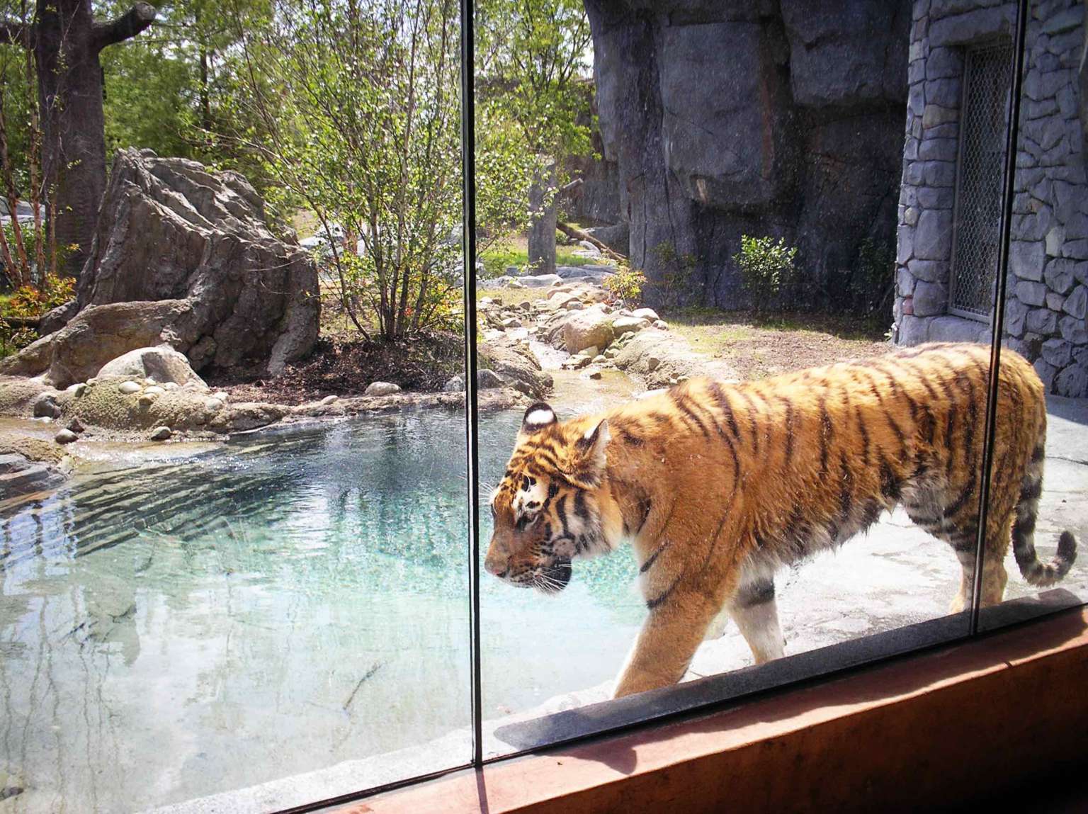 columbus zoo careers